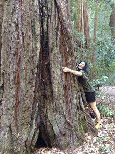 10620507_10152623966618890_7105599100161842697_n